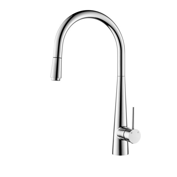 Star Pull-Out Gooseneck Kitchen Mixer 1