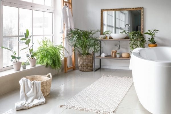 plants that fare well in bathrooms