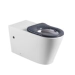 ZUMI Cara Care Rimless In-Wall Toilet