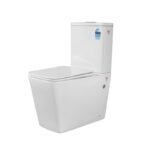Toilet with Rimless Flushing A3981
